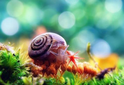 2605310611095181.jpg