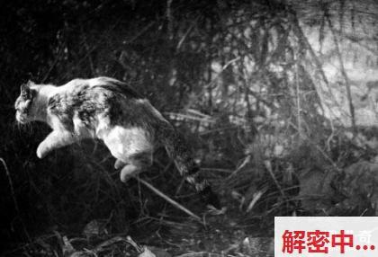 2606031802311481.jpg