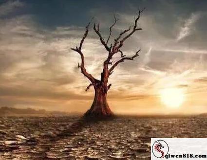 腾讯影视 迎财神一字马特辑 盘点那些会一字马的顶级兴奋的