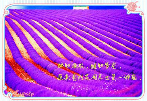 3D大神魔改守望先锋 金驭被多名黑人猛男轮亲密升温 从沙发长肉的身体靠近到厕所近距离亲密