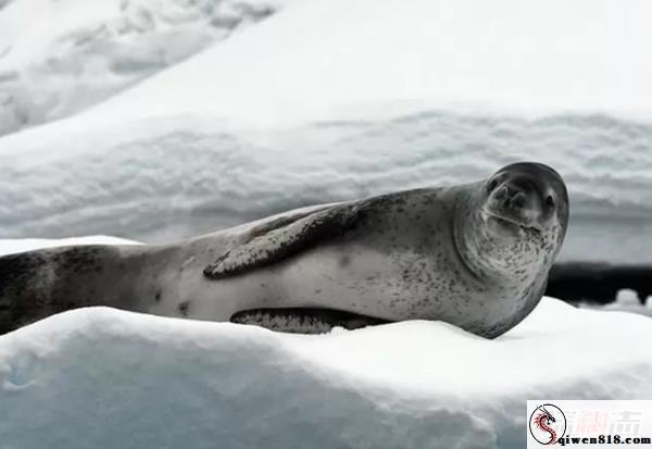 2606090309592833.jpg
