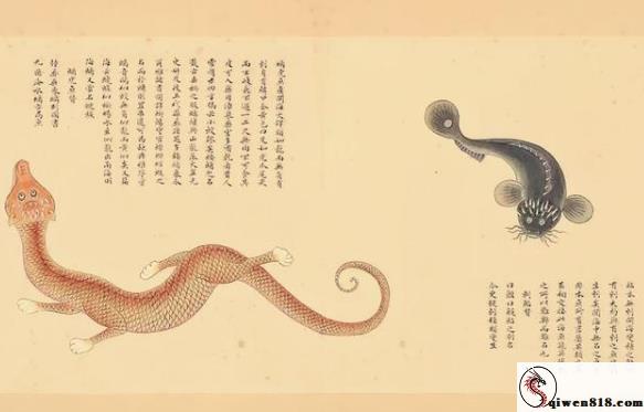 2606101426592581.jpg